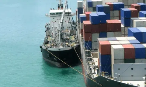 Giá vận chuyển container từ châu Á sang Mỹ giảm 60%