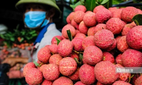 Thông đường cho nông sản Việt Nam xuất khẩu sang Trung Quốc